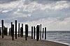 Petten Strand - (c) R Herling.jpg